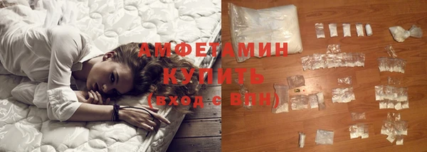 шишки Заводоуковск