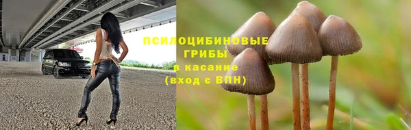 spice Заволжск