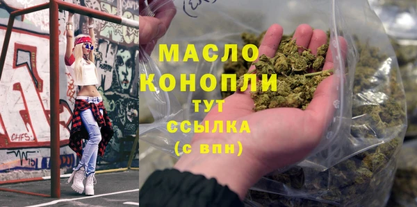шишки Заводоуковск