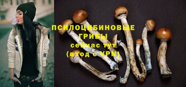 шишки Заводоуковск