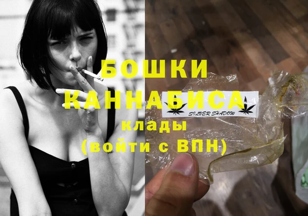 шишки Заводоуковск