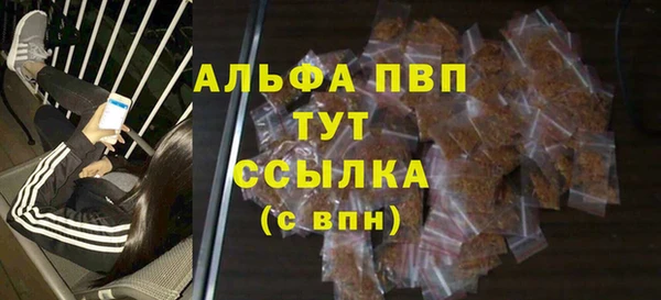 шишки Заводоуковск